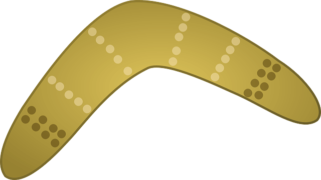 are you using the boomerang gift fundraising model?